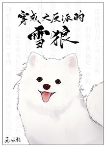 穿成大反派的雪狼後