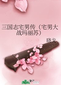 三国志宅男传(宅男大战玛丽苏)